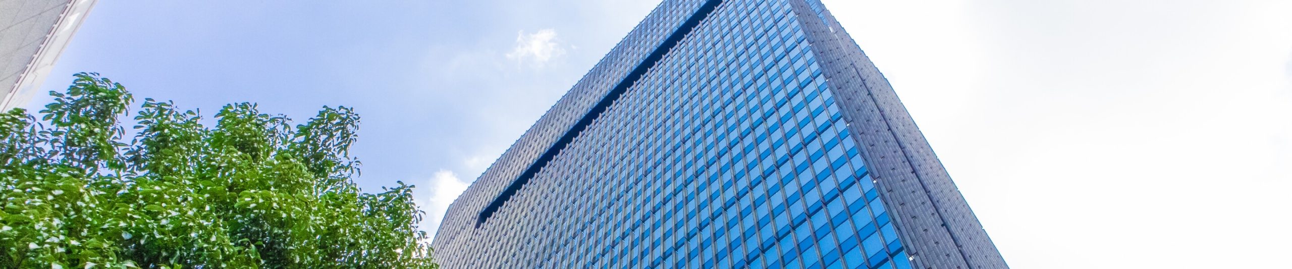 企業情報